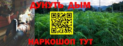 дмт Ставрополь