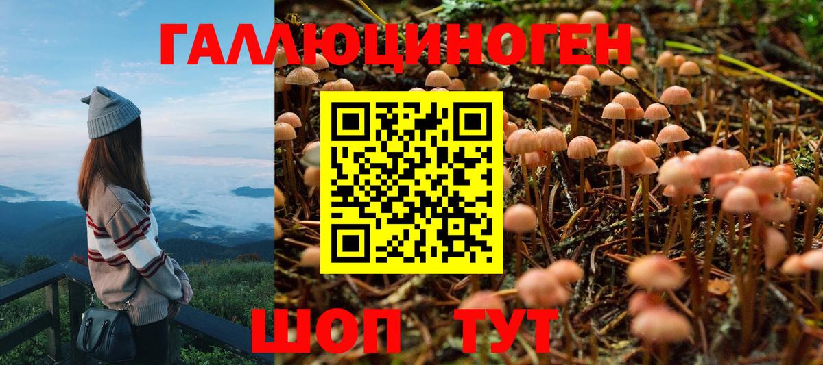 Нижний Тагил  Псилоцибиновые грибы мицелий  Псилоцибиновые грибы Psilocybine cubensis  где можно купить   Вход с VPN 