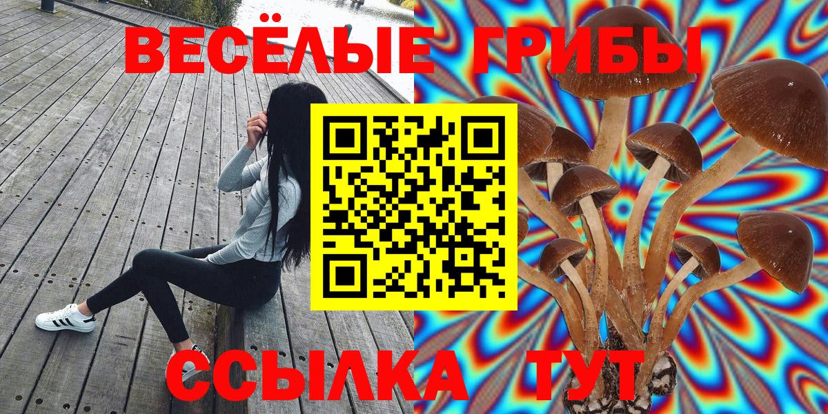 Псилоцибиновые грибы Psilocybine cubensis Нижний Тагил